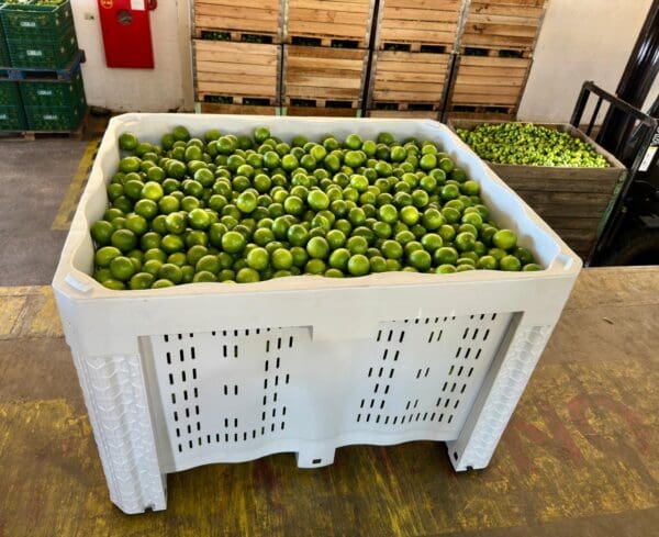 Returnable packaging for limes and citrus fruites