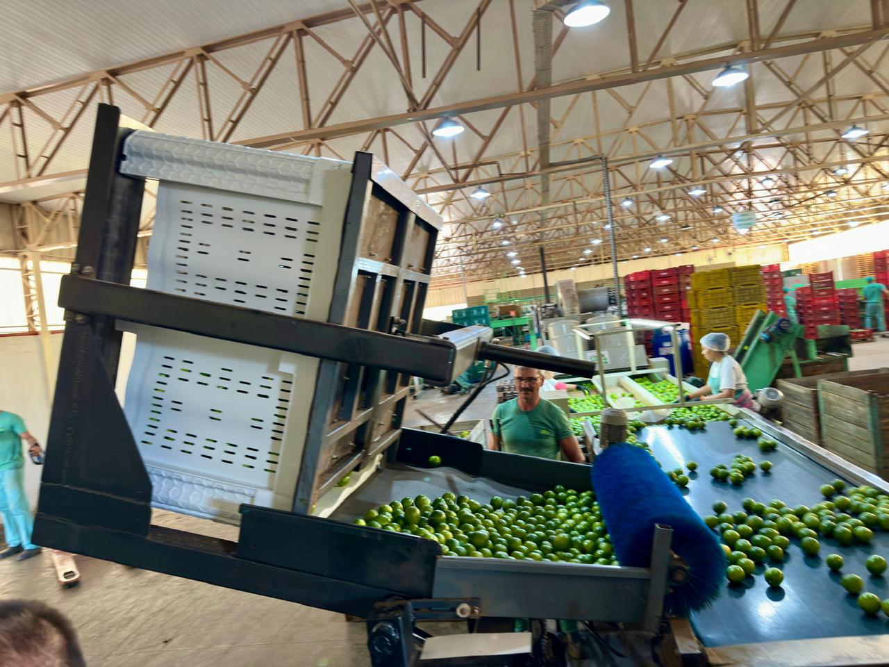 YOYOBin Nestable returnable packaging solutions for agriculture